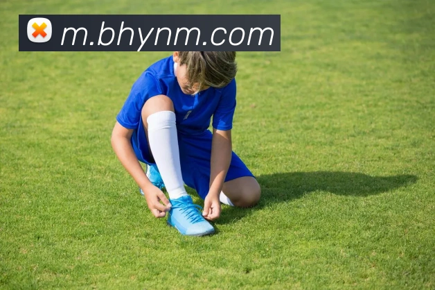 乐鱼平台网站平台生态图