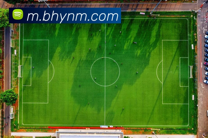 乐鱼平台网站全站App